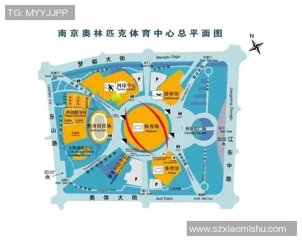 南京网球队与上海网球队实力对比赛后分析与总结
