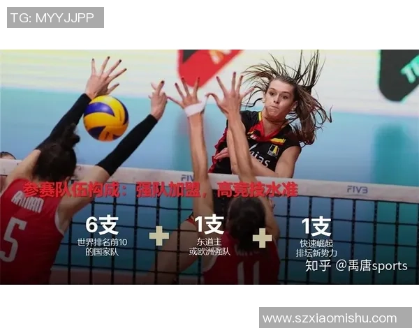 武汉排球队技术表现深度分析与数据解读探讨 武汉排球队技术表现深度分析与数据解读探讨