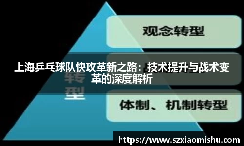 上海乒乓球队快攻革新之路：技术提升与战术变革的深度解析